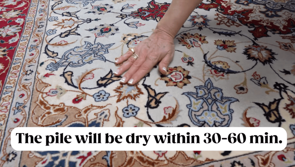 Cómo limpiar una alfombra de seda - Muriersilk
